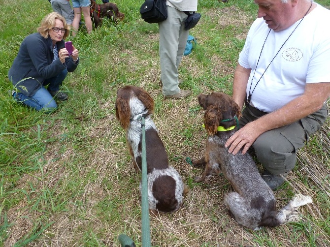 de la rivière du Nant - T A N DEVROUZE 2014