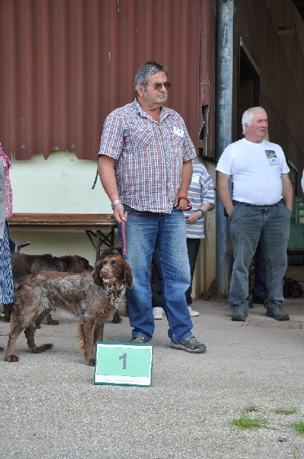 de la rivière du Nant - PARIS 2015 CONCOURS GENERAL AGRICOLE 