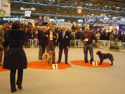 de la rivière du Nant - PARIS SALON DE L AGRICULTURE LE 23 FEVRIER 2009 BAHIA SUR LE PODIUM 