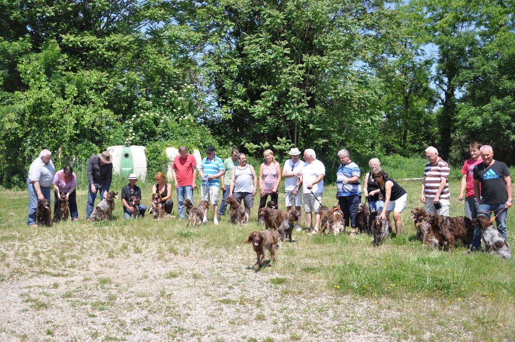 de la rivière du Nant - RASSEMBLEMENT DE NOTRE ELEVAGE